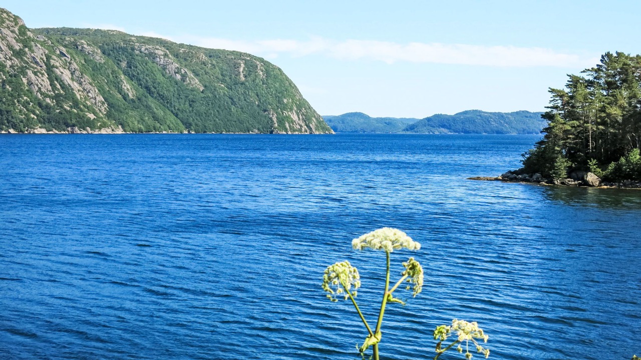 Photo of Others in Farsund