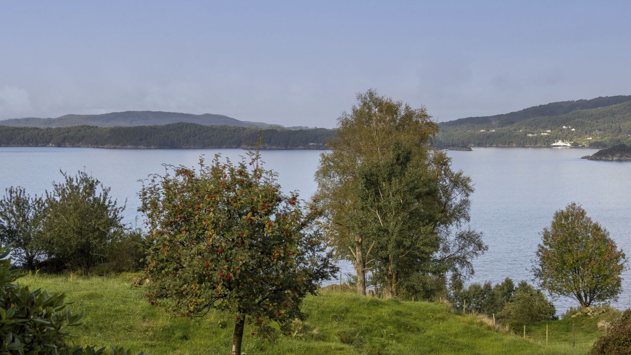 Photo of Others in Vinnes