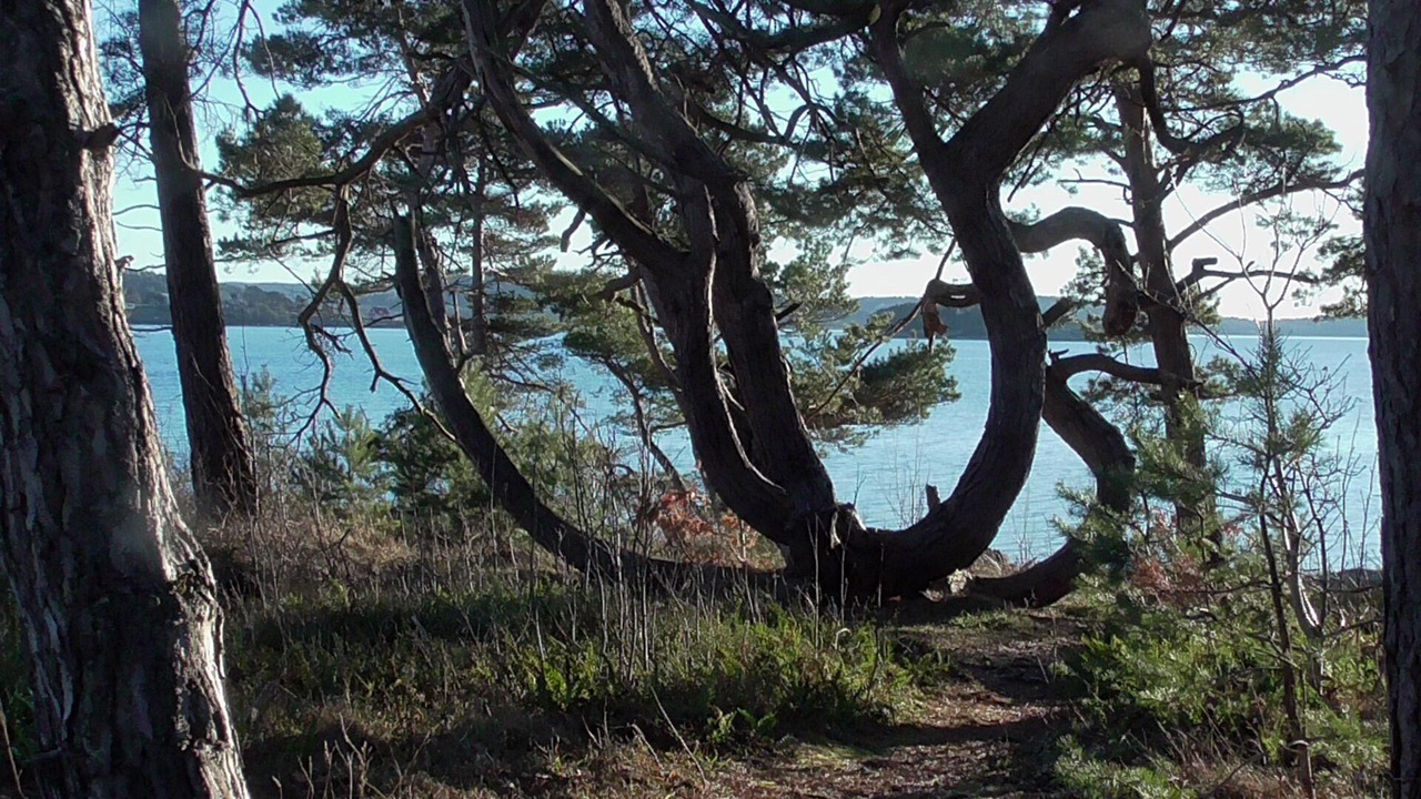 Photo of Others in Stenungsund