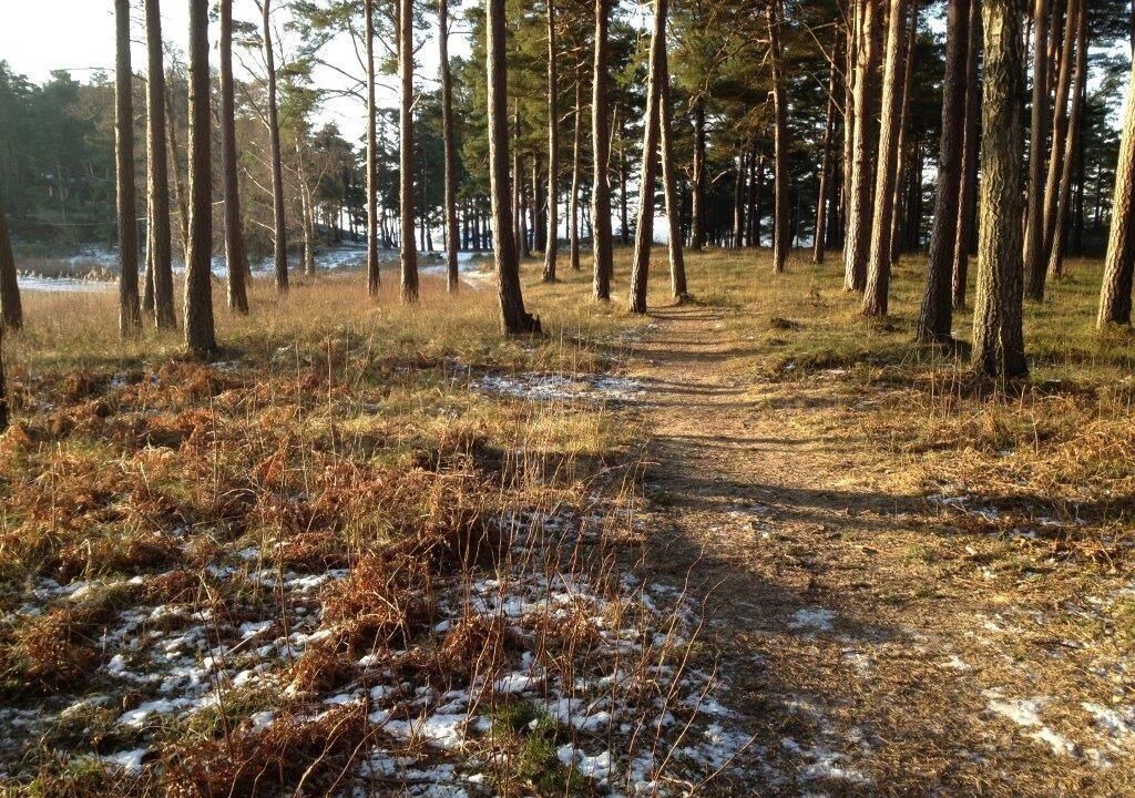 Photo of Others in Stenungsund