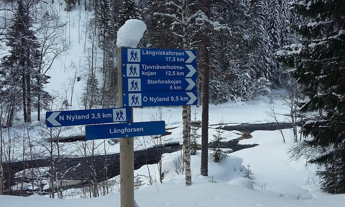 Photo of Others in Nyaker