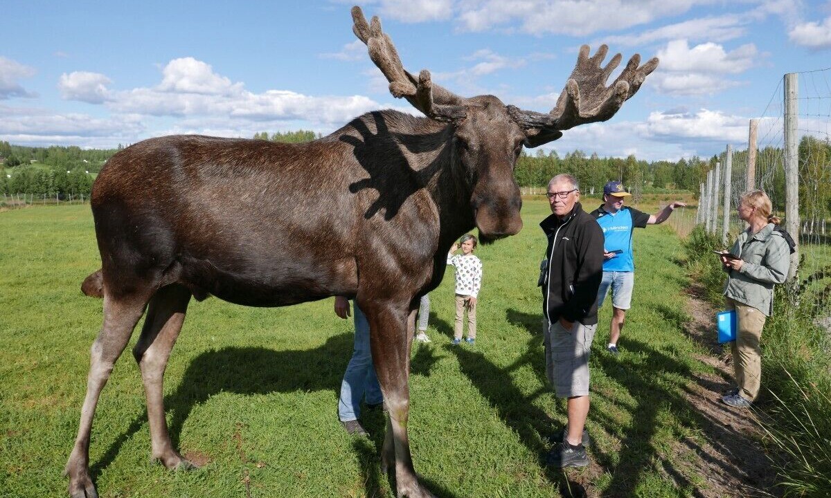Photo of Others in Nyaker