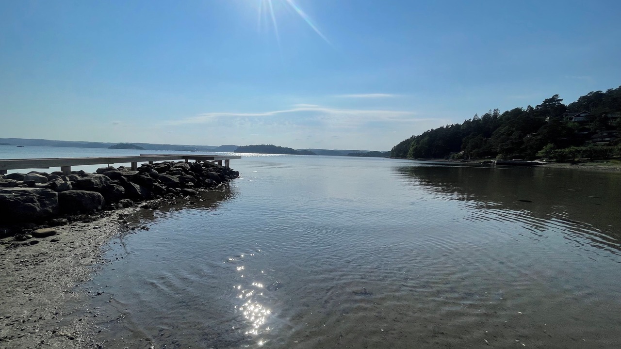 Photo of Others in Ljungskile