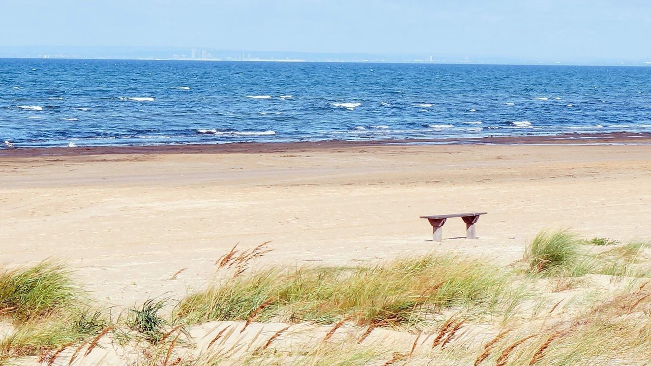 Photo of Others in Skummesloevsstrand
