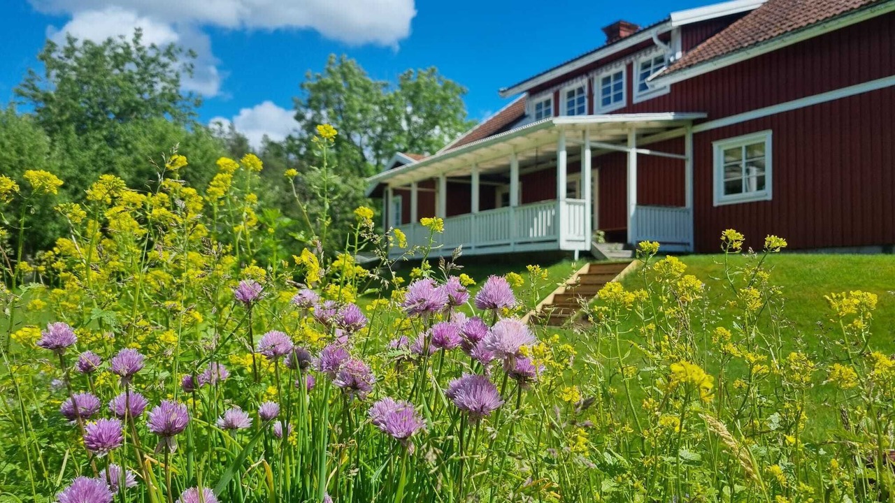 Photo of Outdoor in Finnerodja