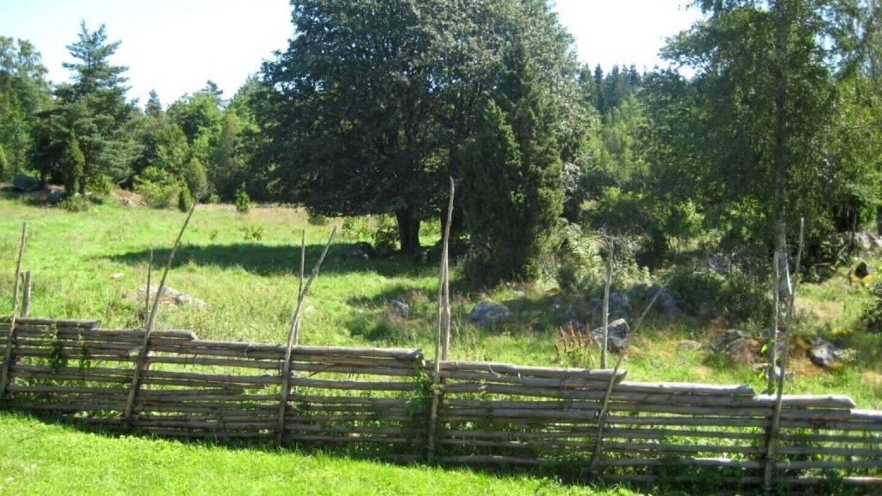 Photo of Outdoor in Johanneshov