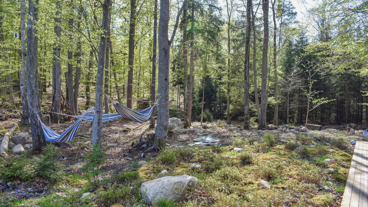 Photo of Others in Arkelstorp