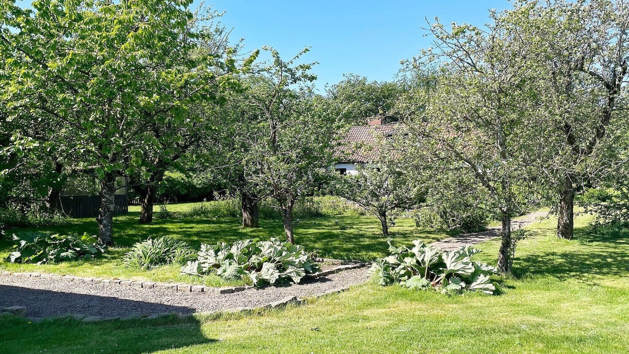 Photo of Outdoor in Kattarp