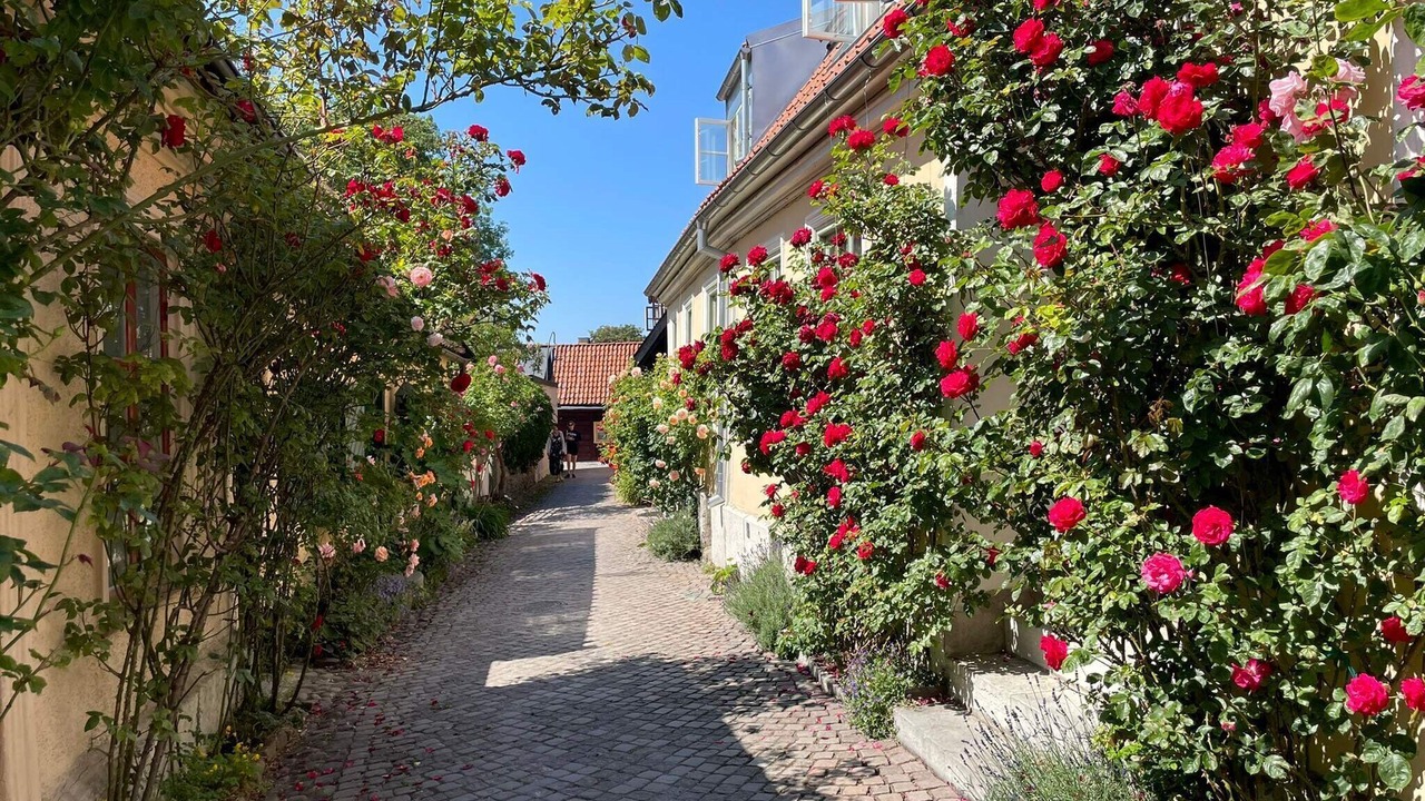 Photo of Outdoor in Visby