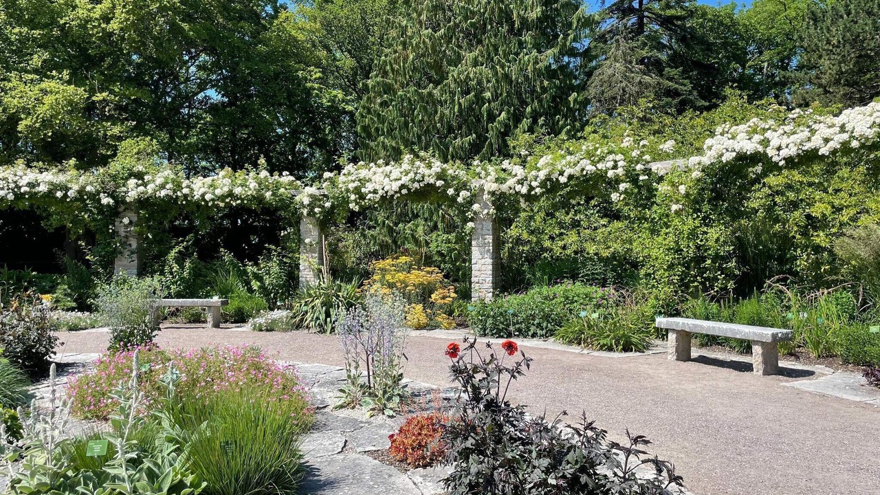 Photo of Outdoor in Visby