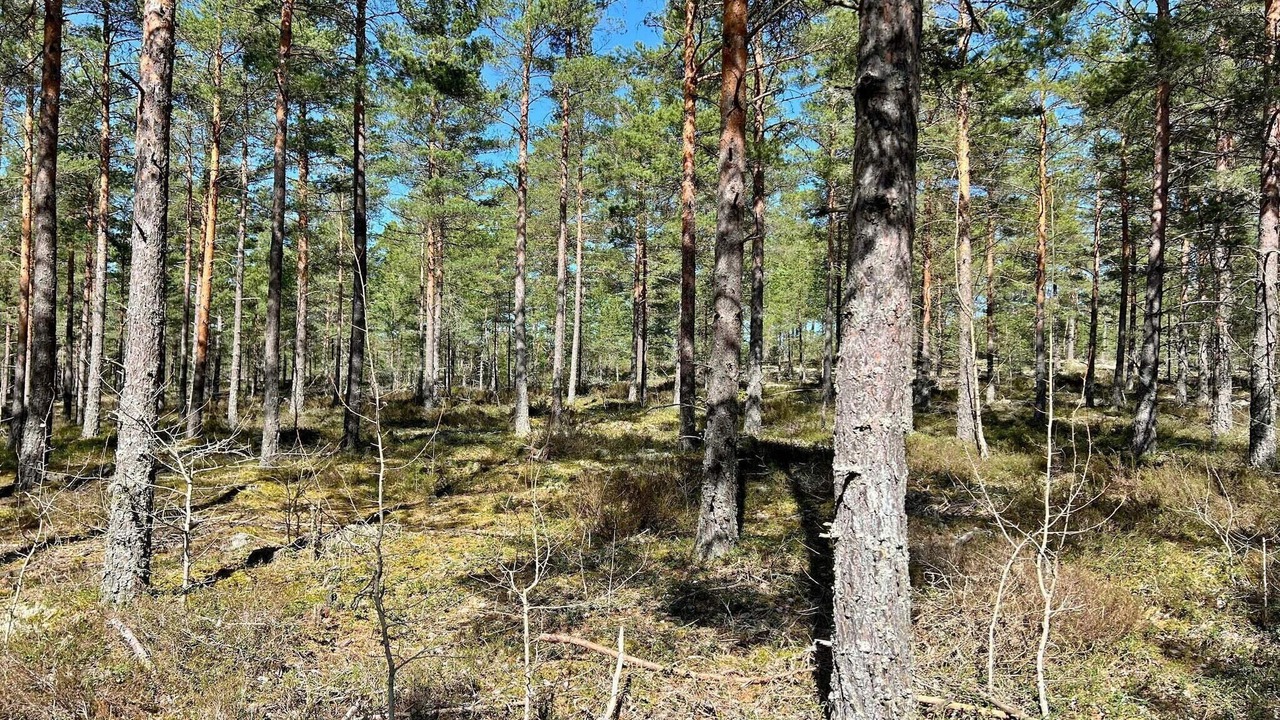 Photo of Outdoor in Sodertalje Municipality