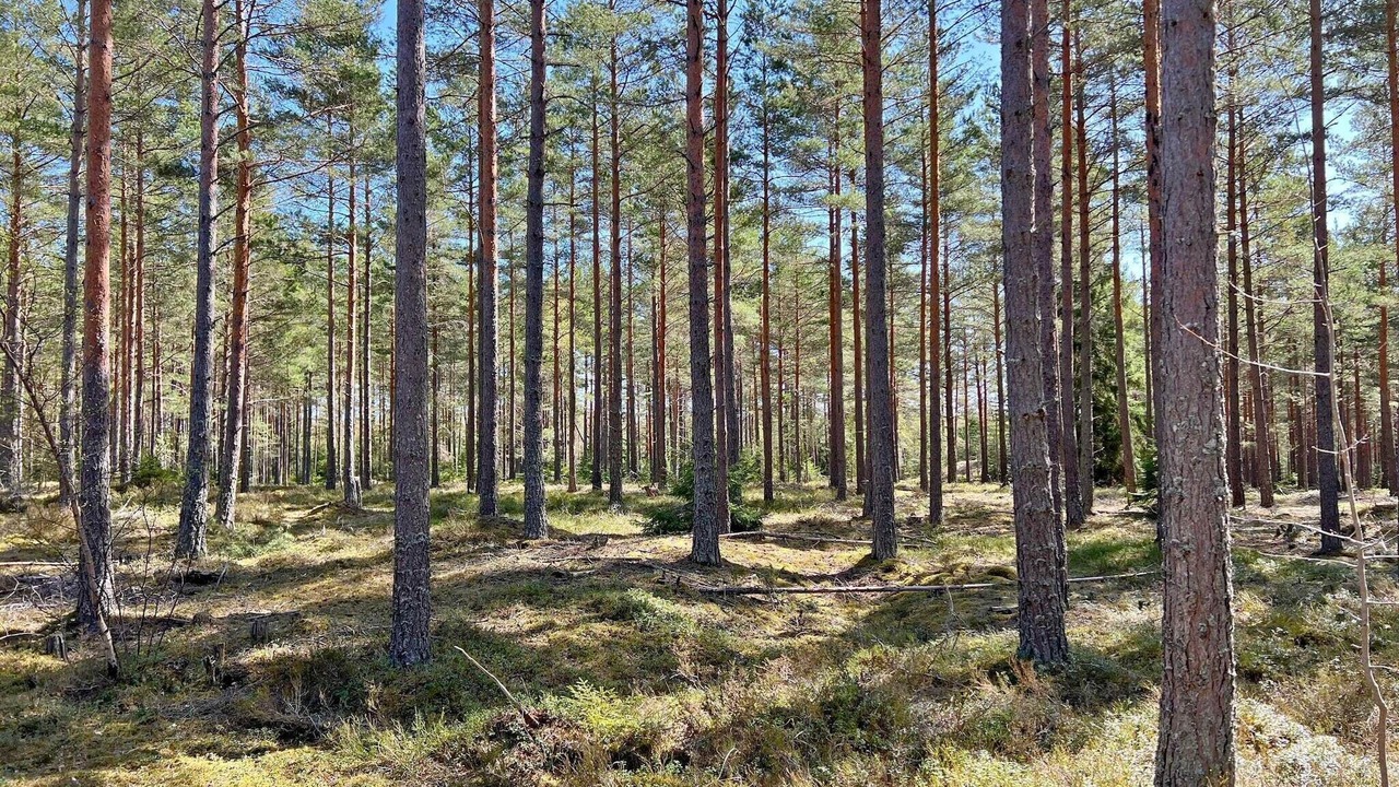 Photo of Outdoor in Sodertalje Municipality