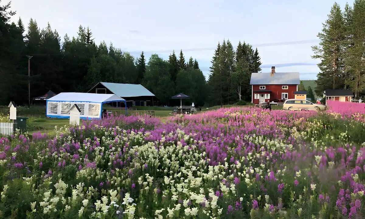 Photo of Outdoor in Stromsund Municipality