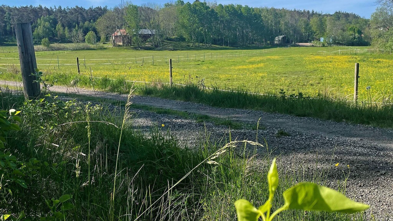 Photo of Outdoor in Karna