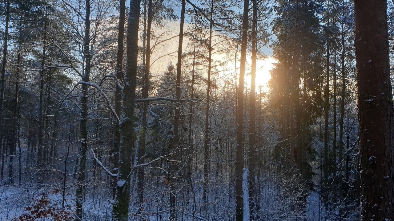 Photo of Others in Andrarum