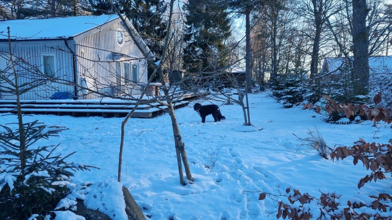 Photo of Outdoor in Andrarum