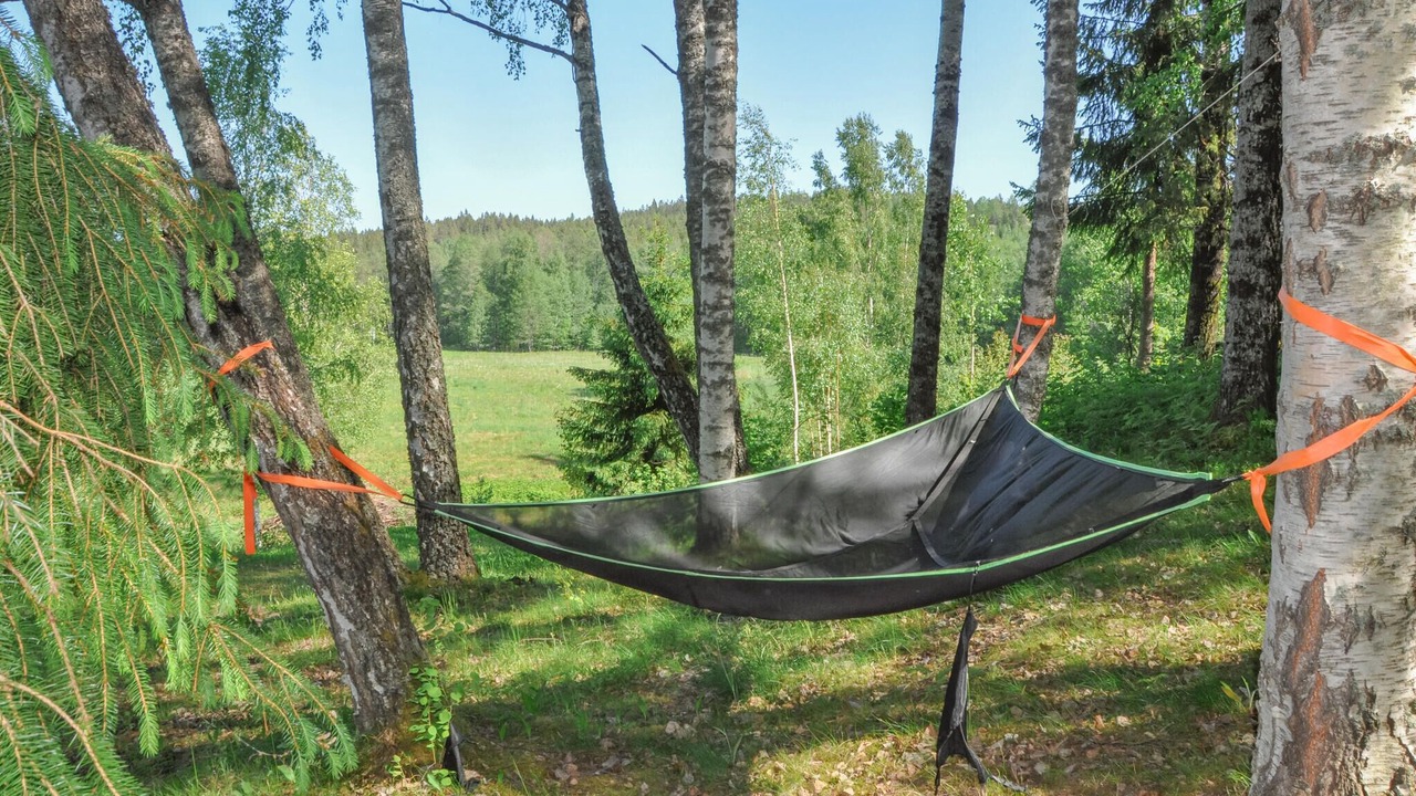 Photo of Others in Varmland County
