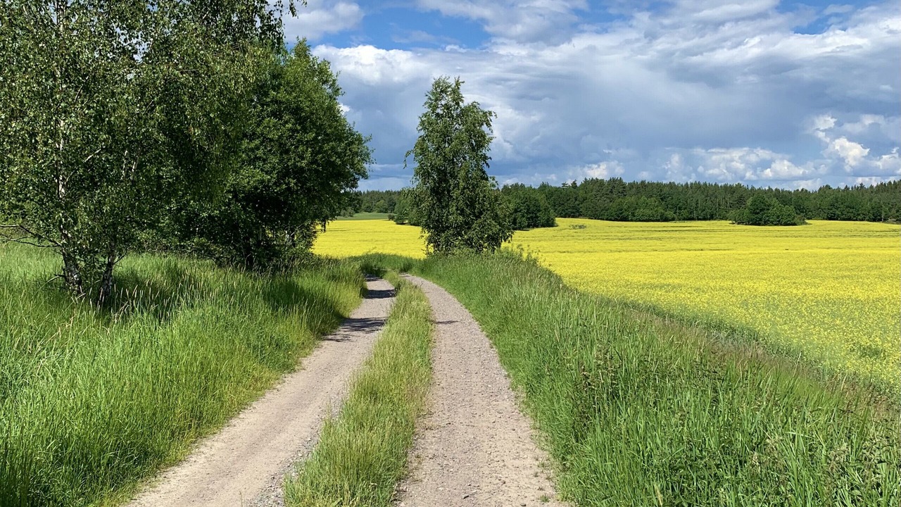 Photo of Others in Norrkoping