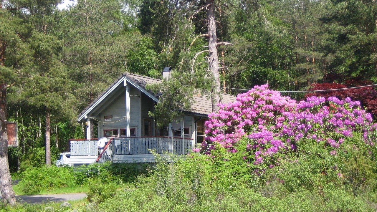 Photo of Outdoor in Lyngstranda