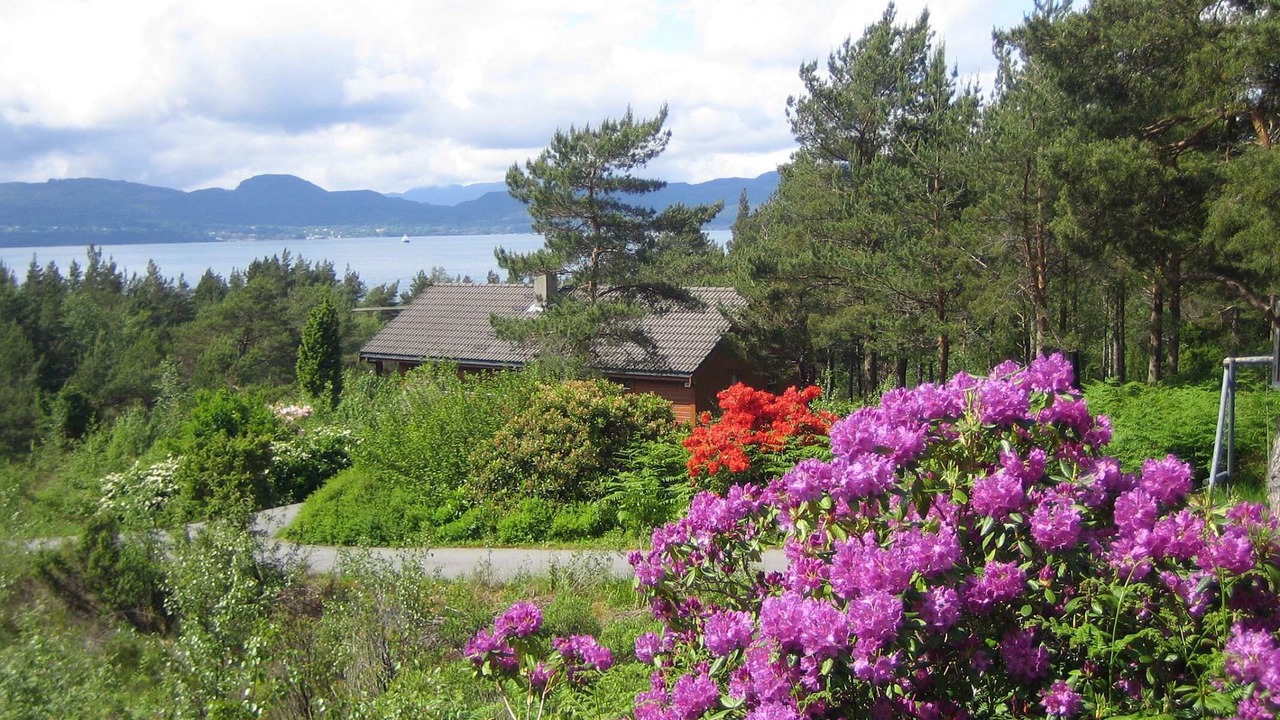 Photo of Outdoor in Lyngstranda