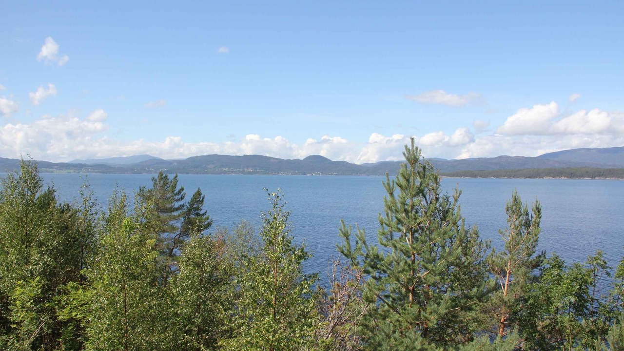 Photo of Others in Lyngstranda