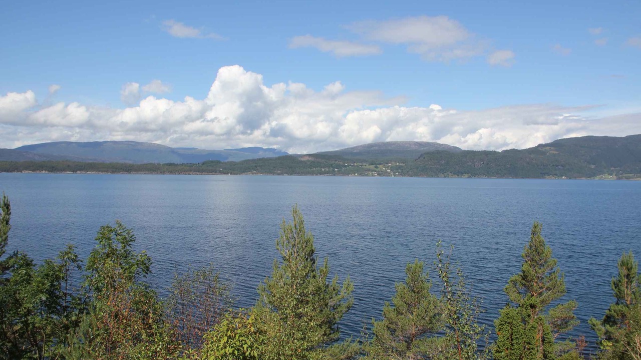 Photo of Others in Lyngstranda
