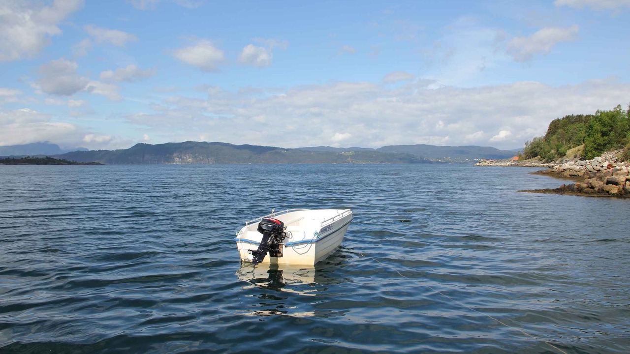 Photo of Others in Lyngstranda