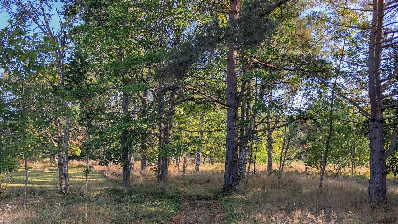 Photo of Others in Vikbolandet
