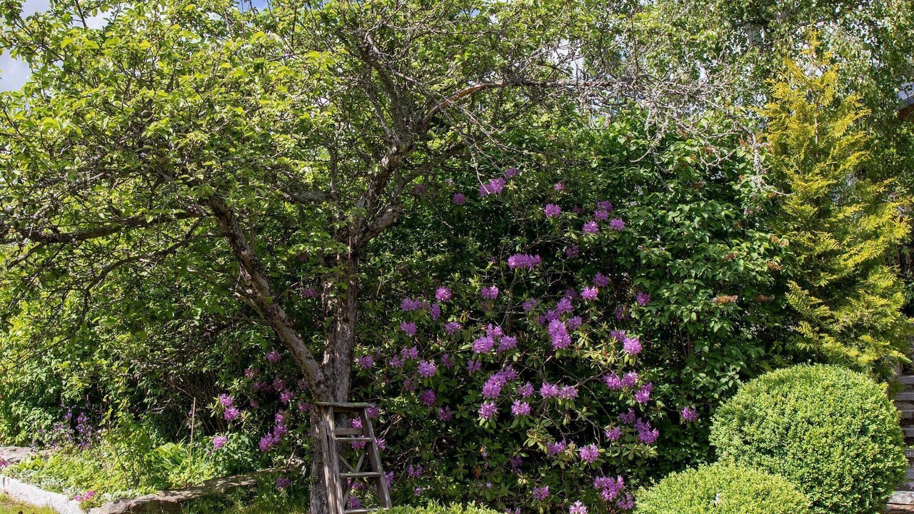 Photo of Outdoor in Flemingsberg