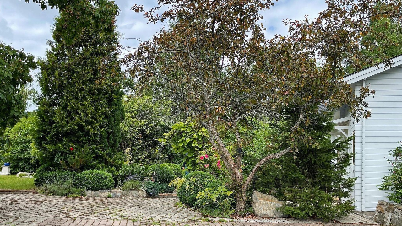 Photo of Outdoor in Flemingsberg