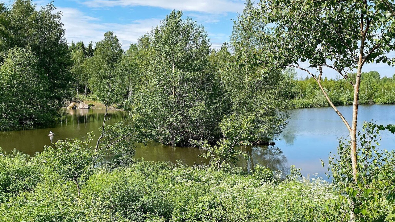 Photo of Others in Stora Aleryd