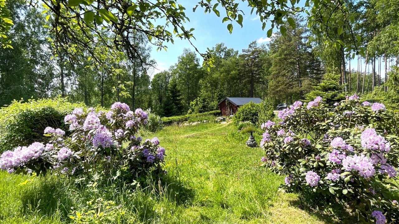 Photo of Outdoor in Kolmarden