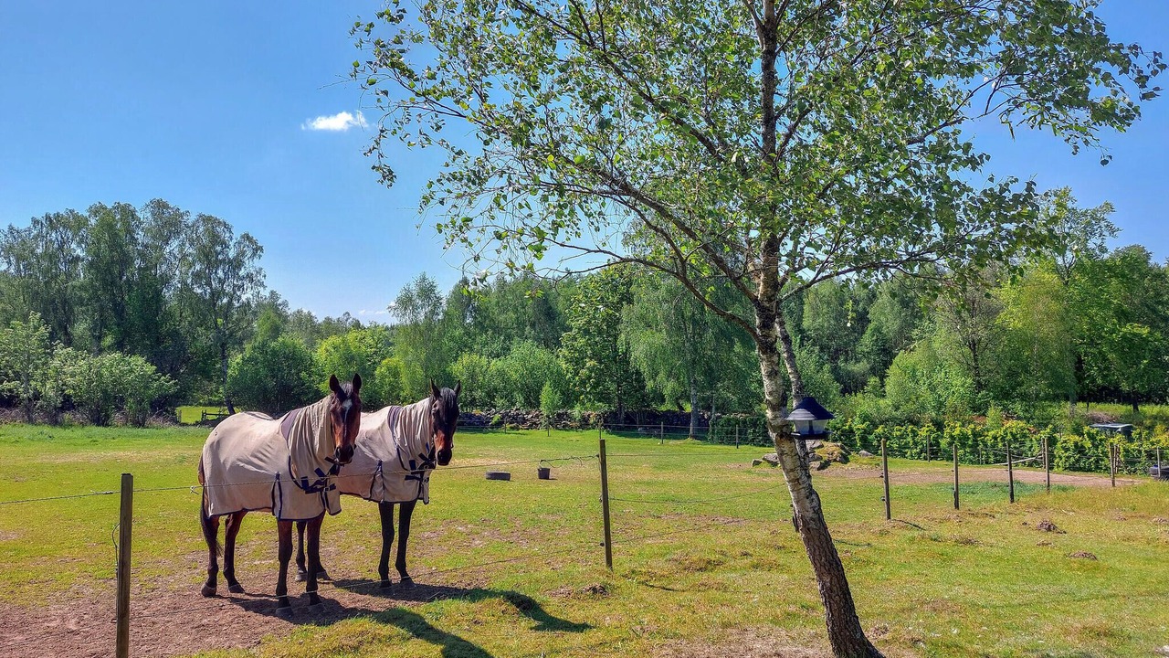 Photo of Others in Munka-Ljungby