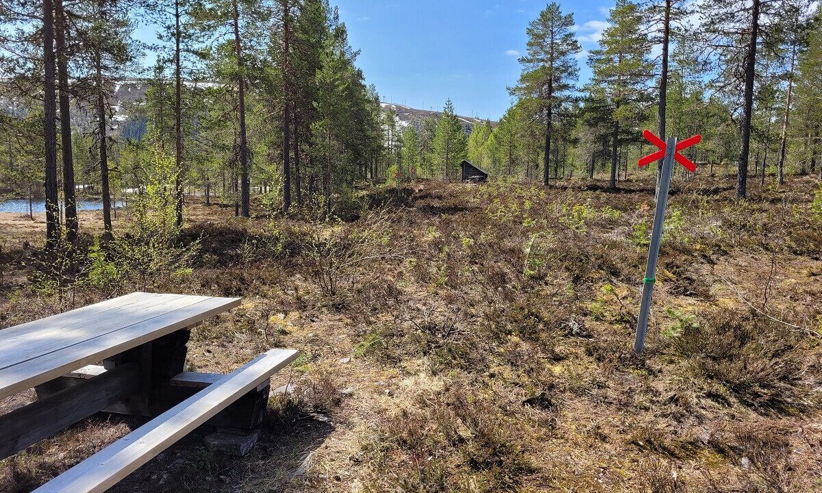 Photo of Others in Stoten