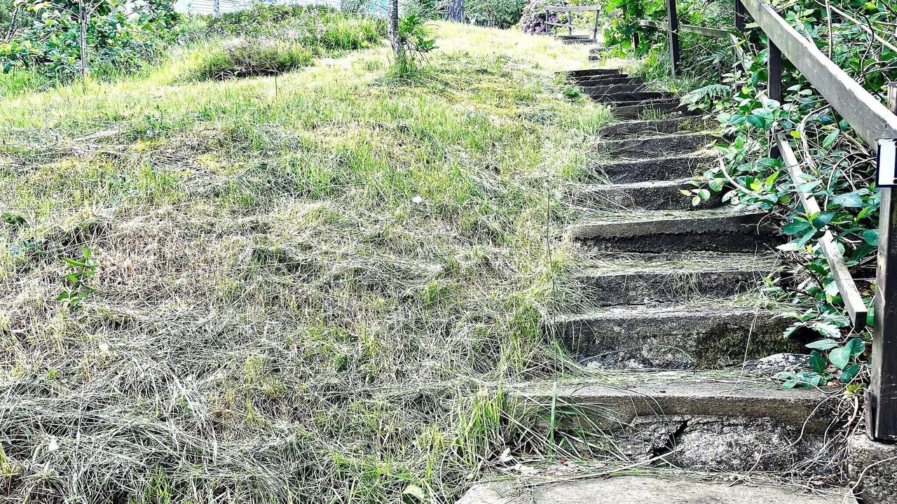 Photo of Outdoor in Mosshed