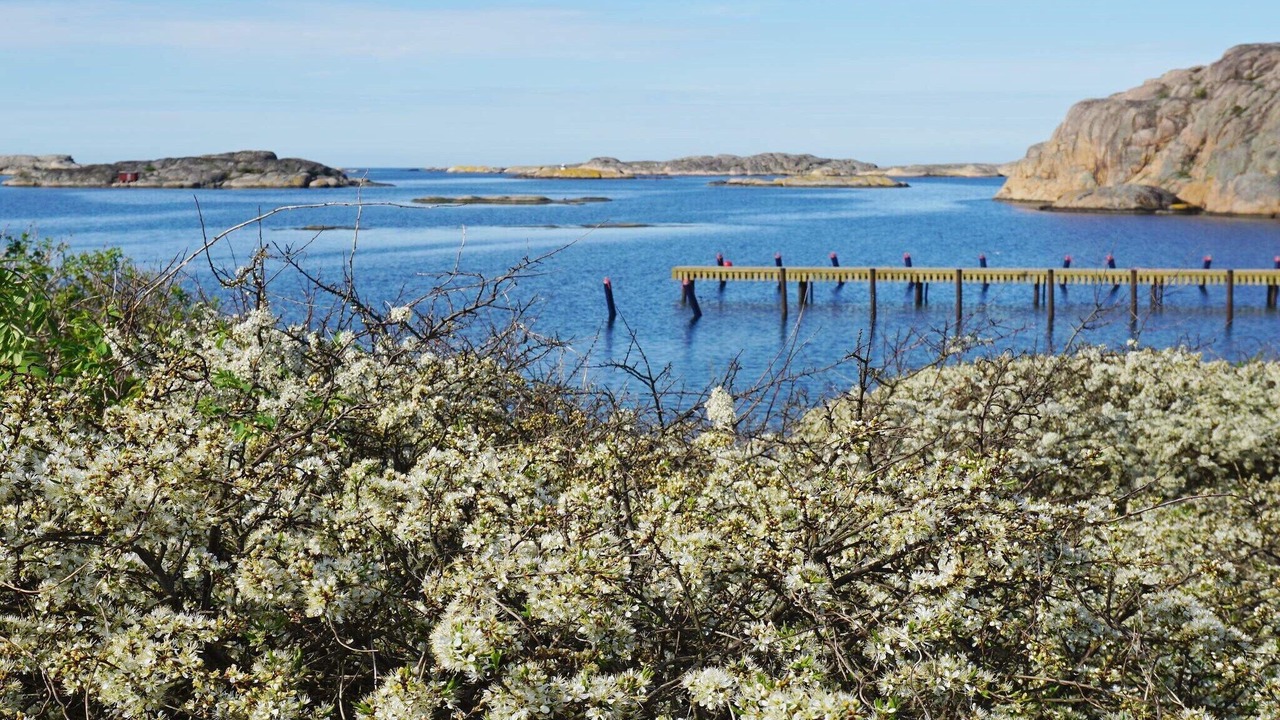 Photo of Others in Hamburgsund