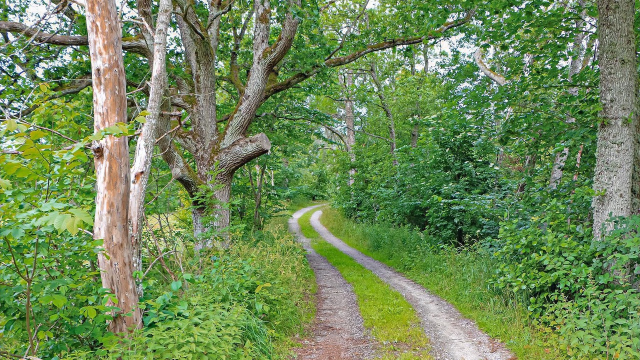 Photo of Others in Fjallbacka