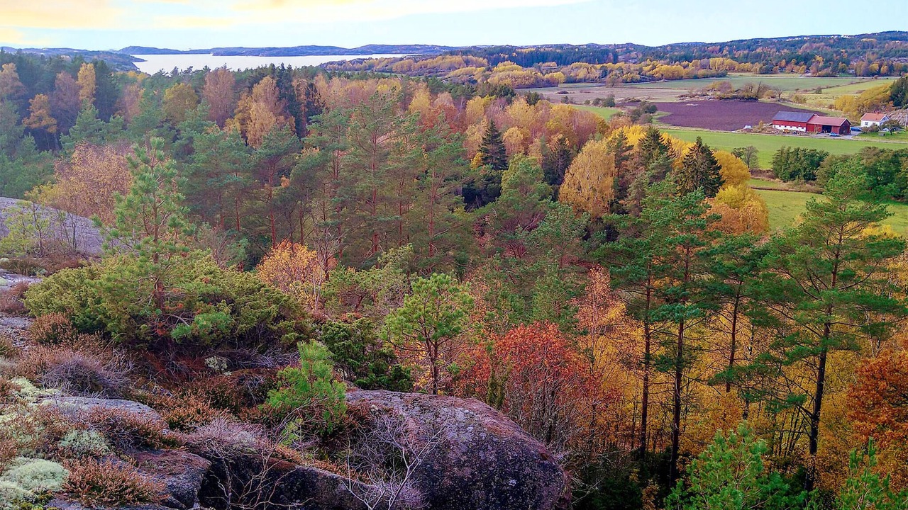 Photo of Others in Fjallbacka