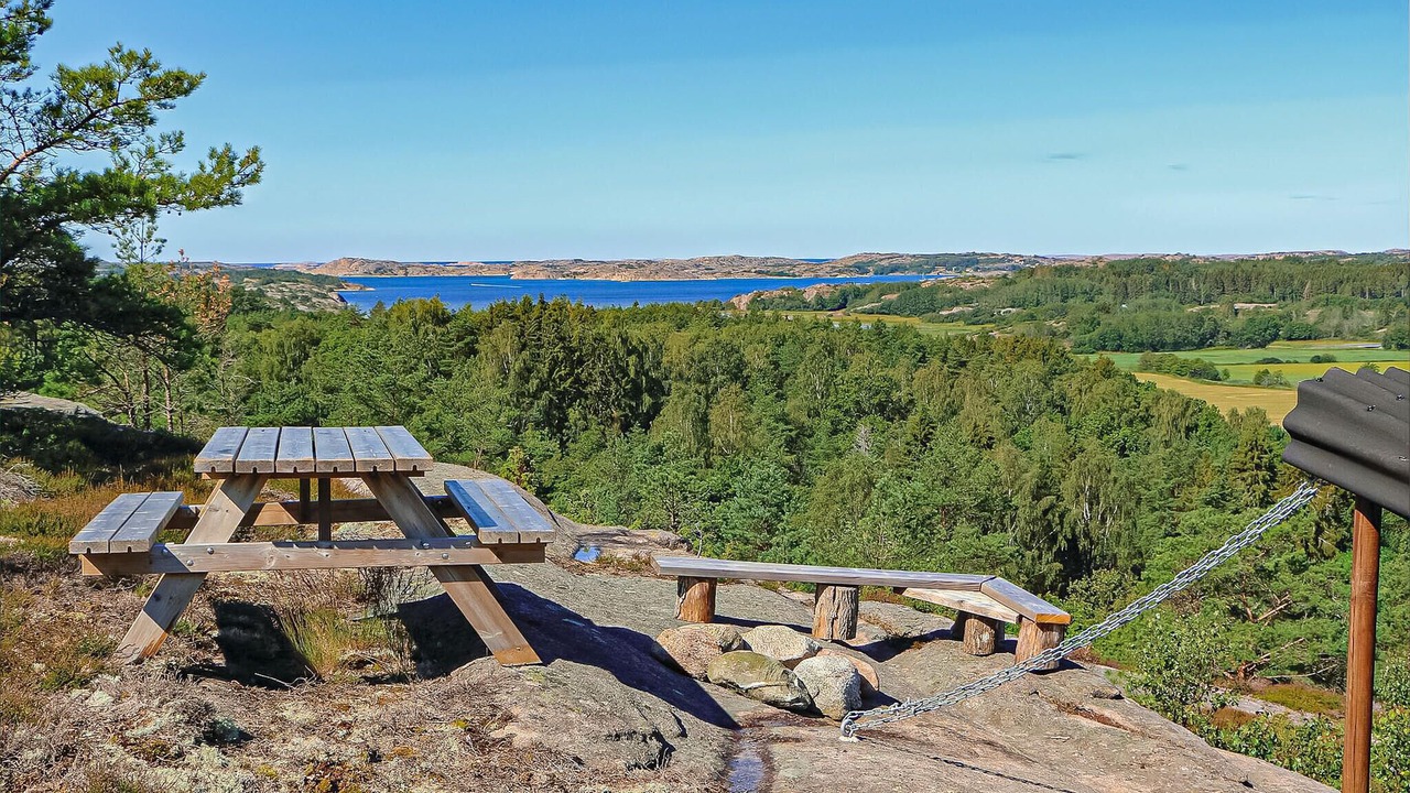 Photo of Others in Fjallbacka