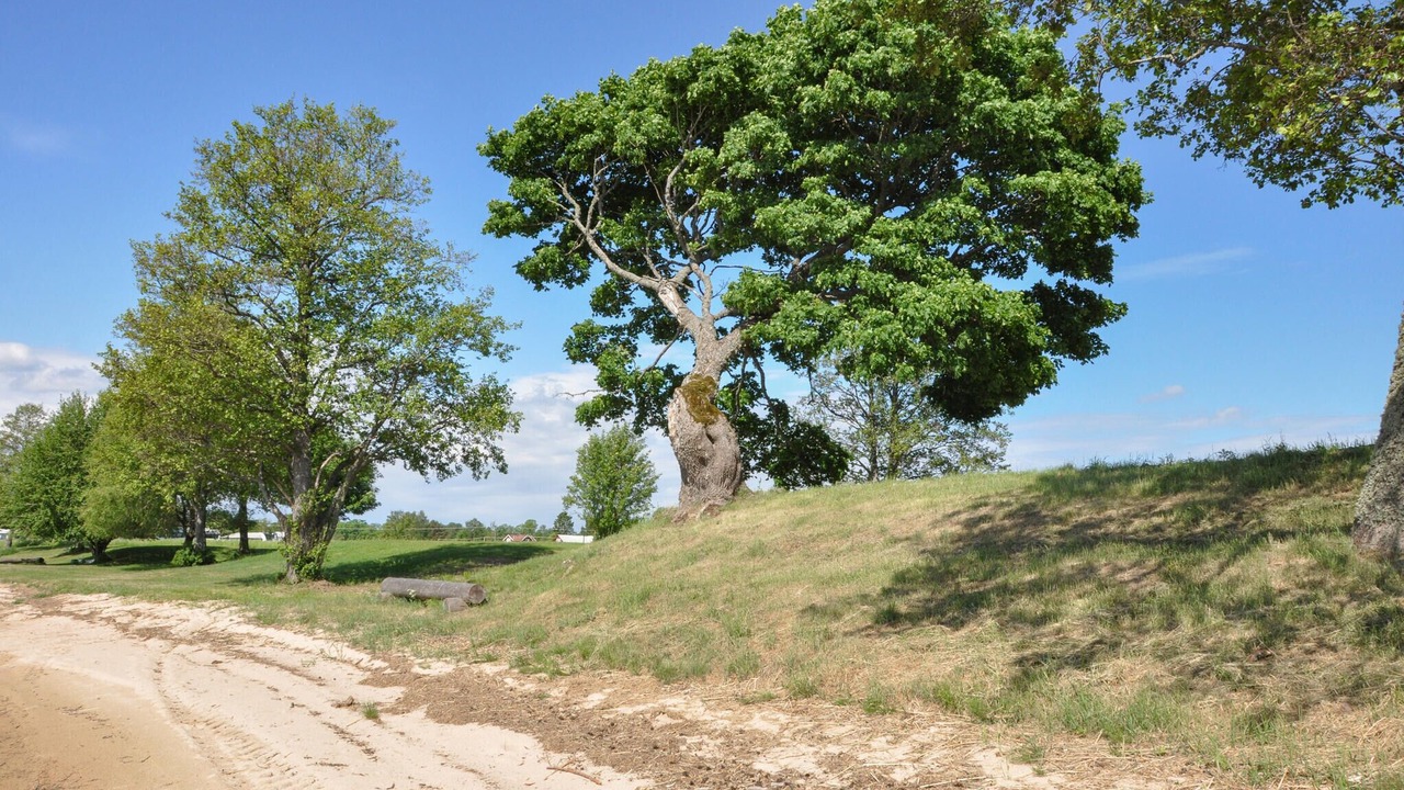 Photo of Others in Kristinehamn