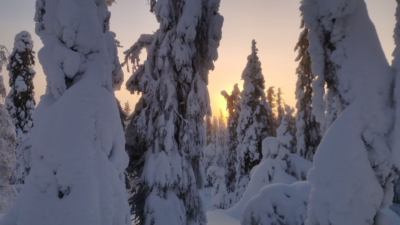 Photo of Others in Arjeplog Municipality