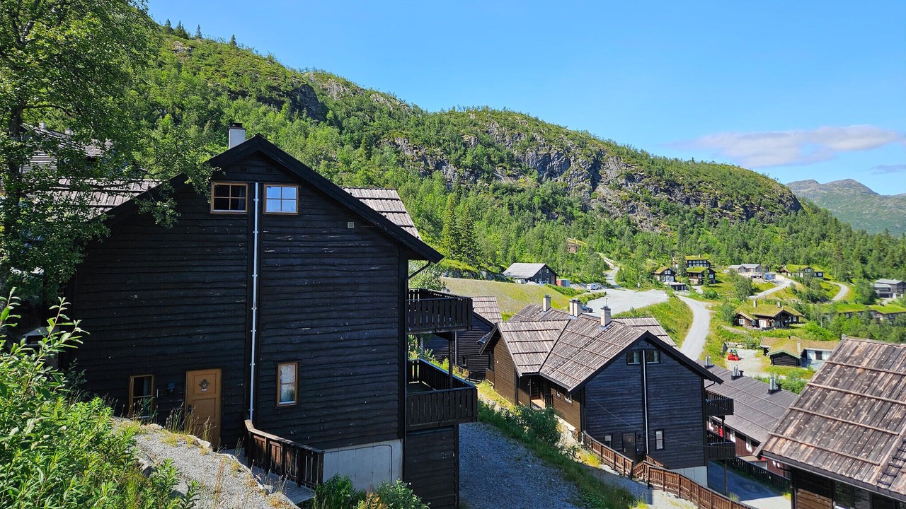 Photo of Others in Hemsedal