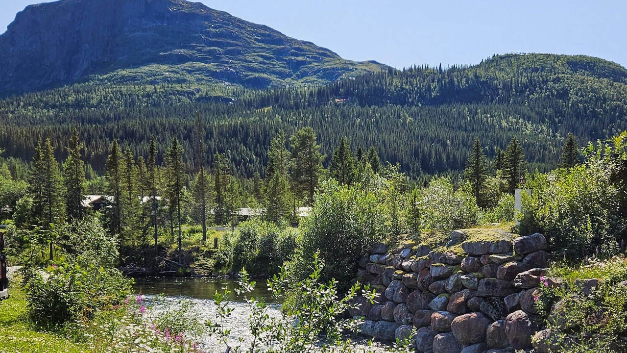 Photo of Others in Hemsedal