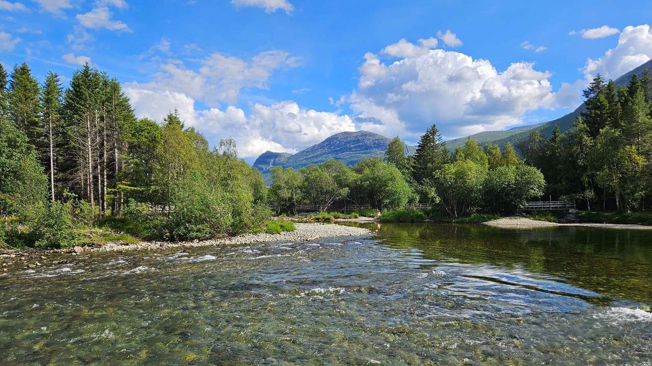 Photo of Others in Hemsedal