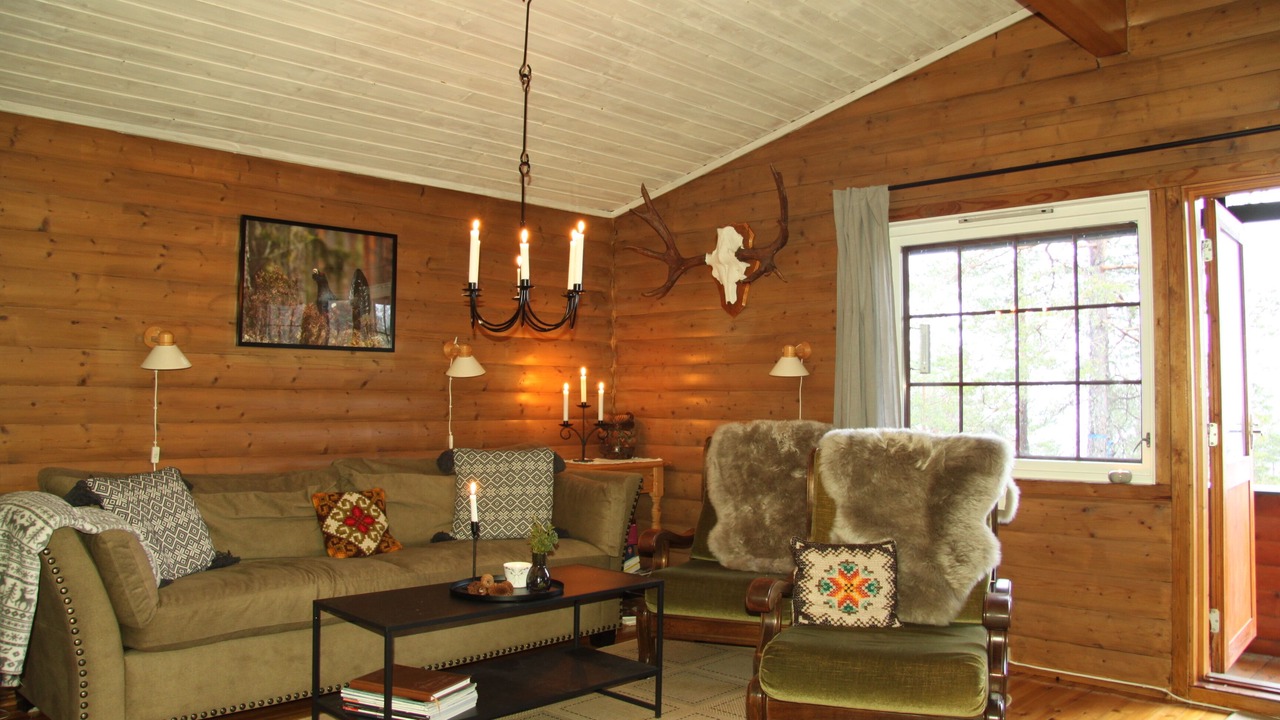 Photo of Livingroom in Dølemo