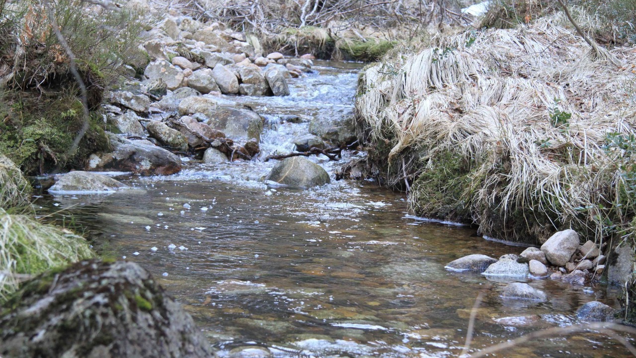 Photo of Outdoor in Dølemo