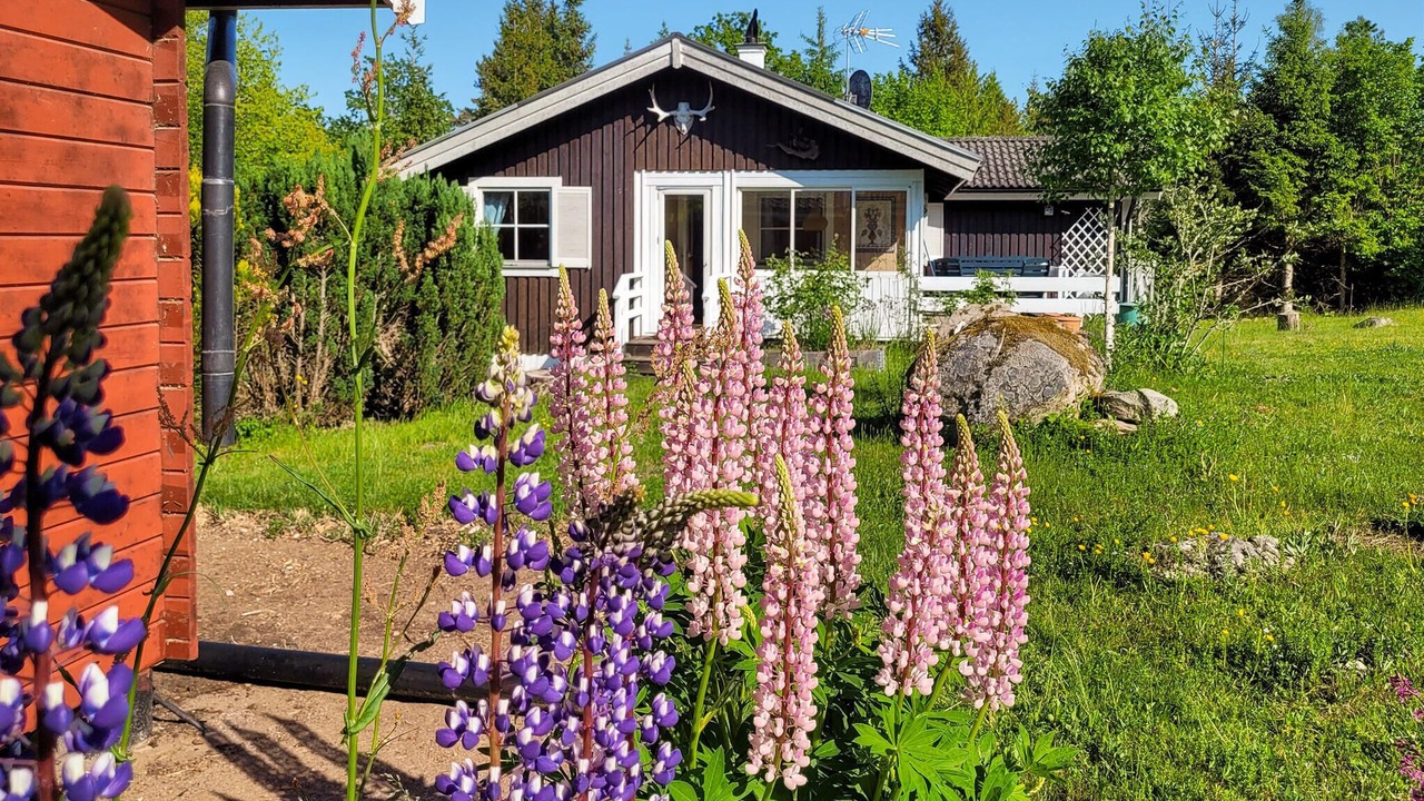 Photo of Others in Skurebo