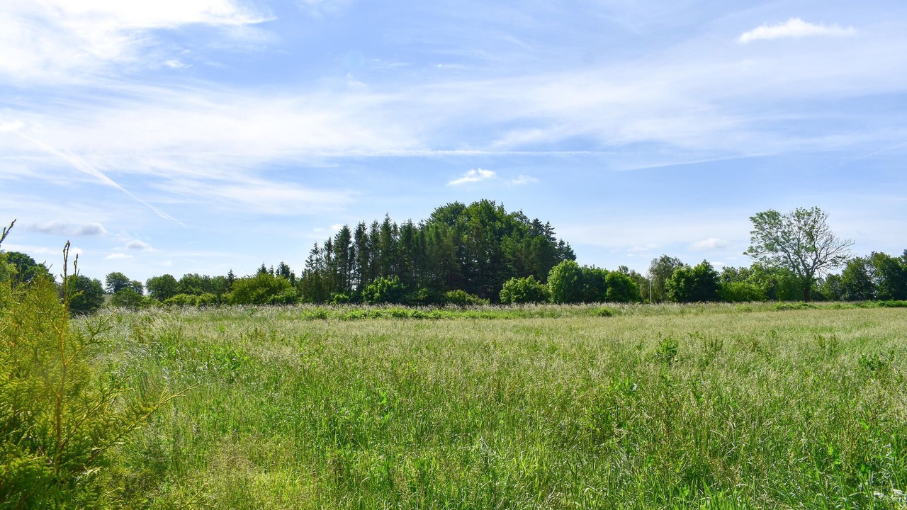 Photo of Others in Tomelilla Municipality