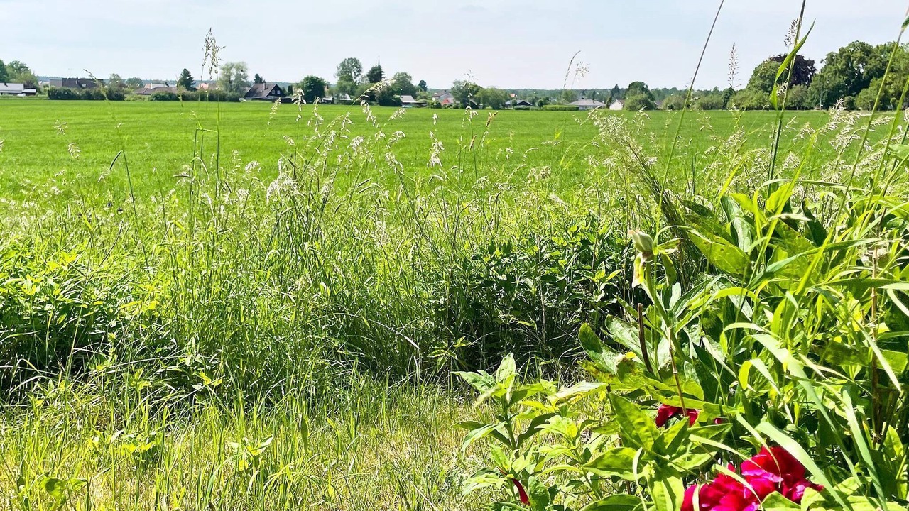 Photo of Outdoor in Hogsby
