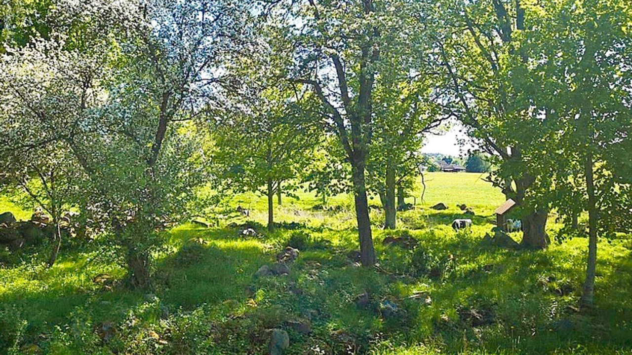 Photo of Outdoor in Hogsby